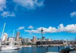 View on Auckland harbour