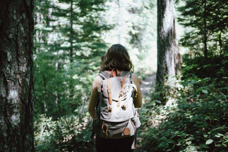 Backpacker in the forest