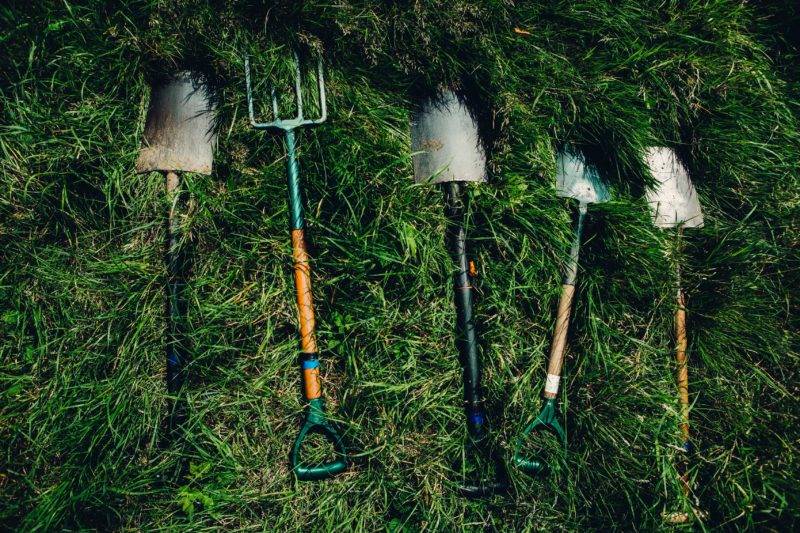 Shovels waiting for their next wwoofing use