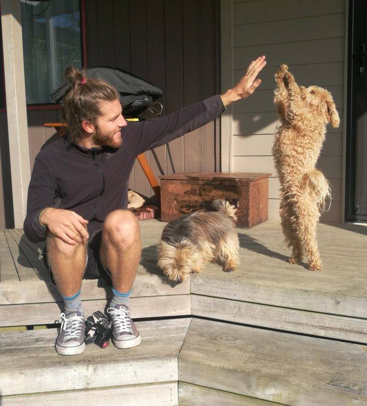 High five with awesome animals