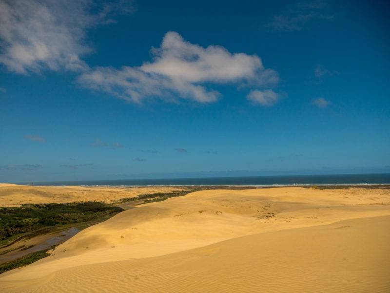 View from Te Paki dunes to the sea