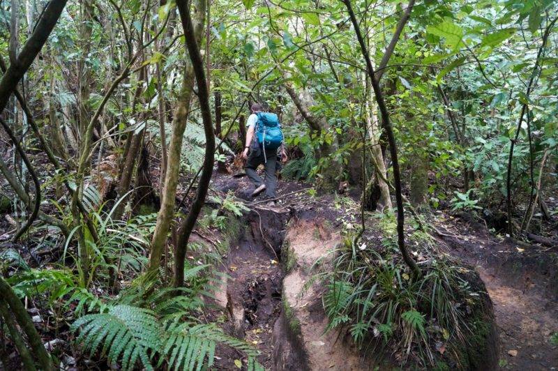 Mount Tauhara Walk