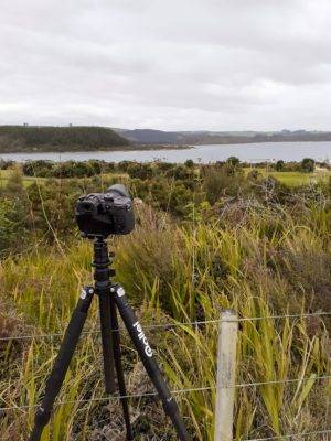 Creating a time lapse at the Kai Iwi Lakes