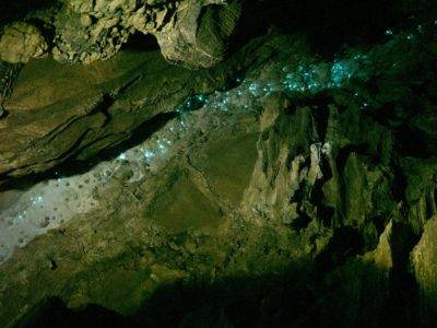 Fireflies in the abbey caves