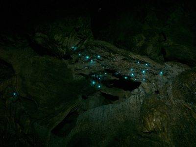 Fireflies in the abbey caves