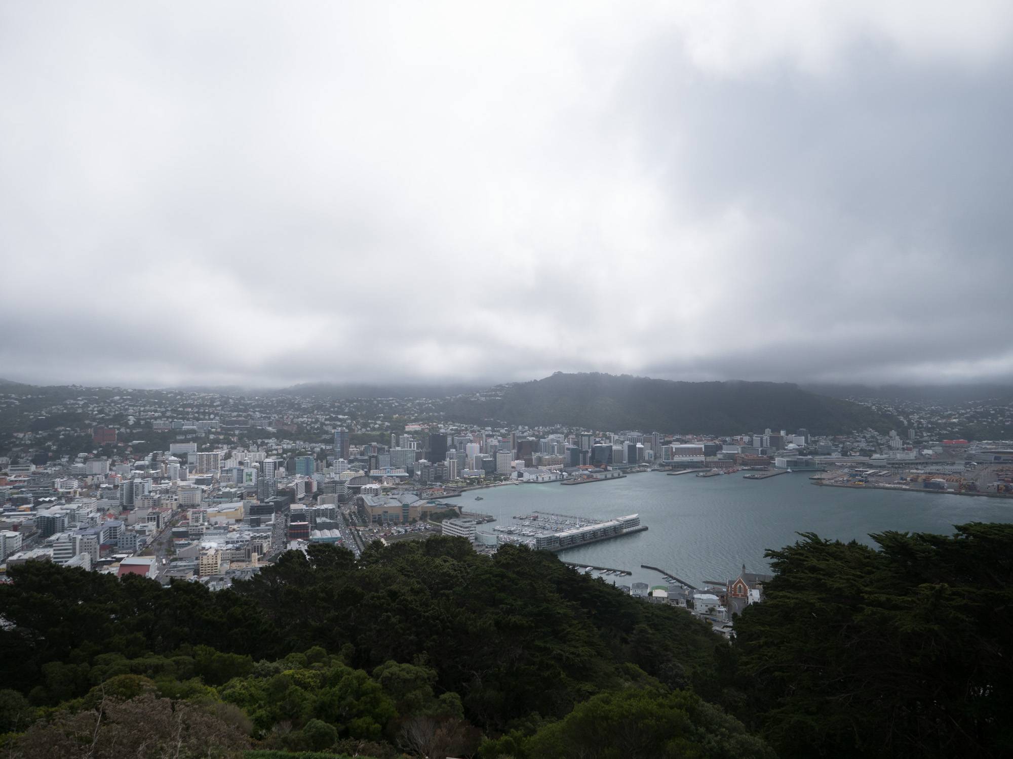 Our highlights in and around Wellington - Backpacking Tipps 2024