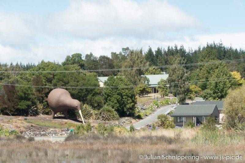 The largest Kiwi statue in New Zealand