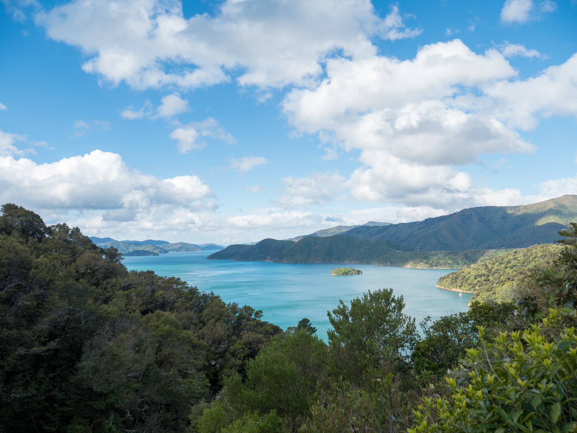 marlborough-sounds-20190925-P2022486