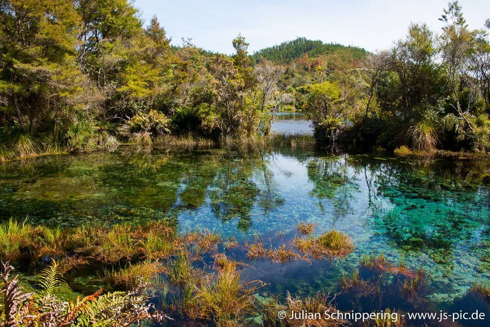 Te Waikoropupu Springs New Zealand