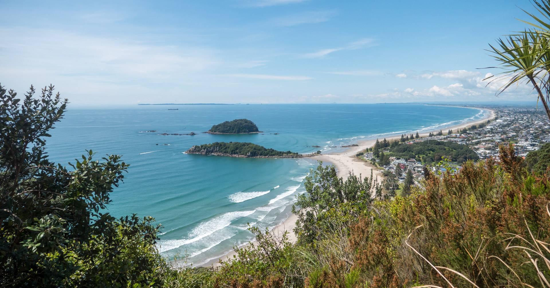 View from Mount Maunganui