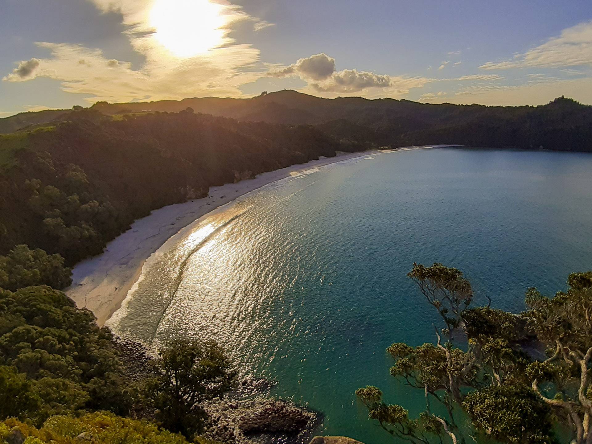 New Chums Beach Coromandel