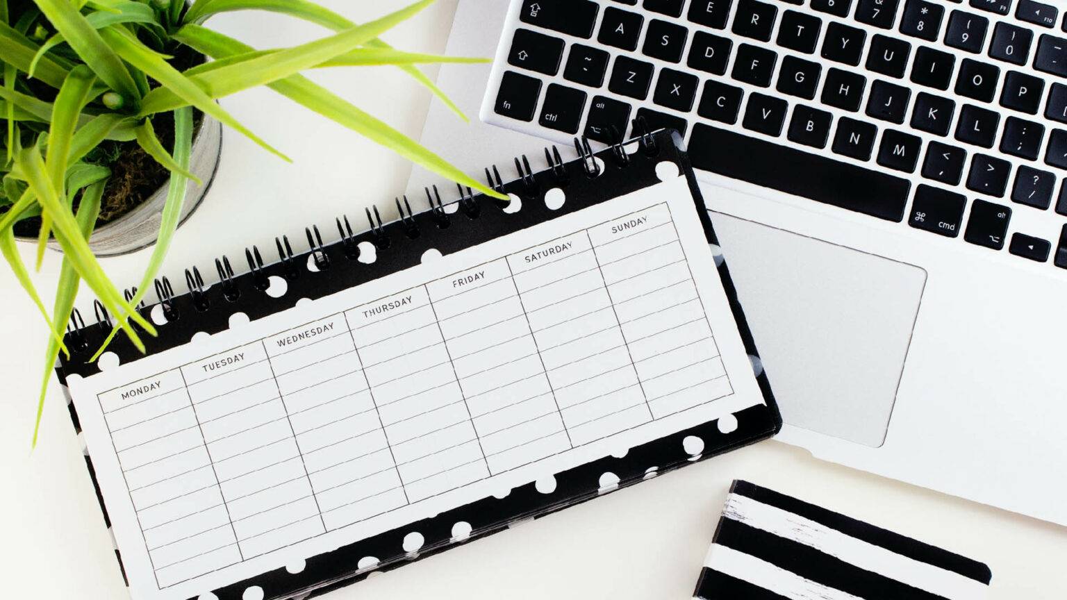 All the New Zealand Public Holidays 2021, the full list for all regions